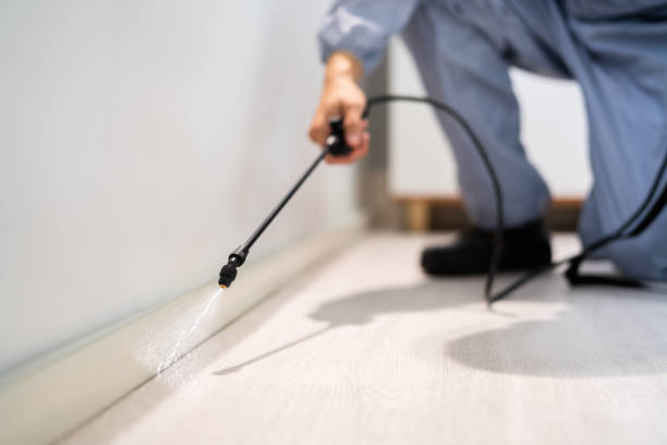 Bed Bug Pre-Treatment Preparation Assessment in Madison Heights