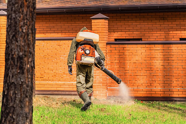 Bed Bug Clearance Verification and Documentation in Madison Heights